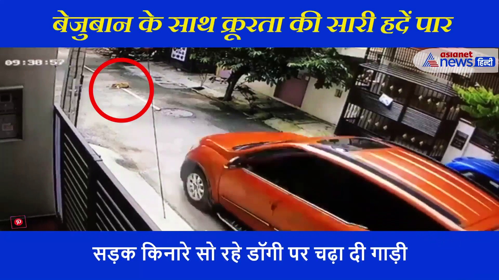 बेजुबान के साथ क्रूरता की सारी हदें पार, लोग बोले-ऐसा तो कोई राक्षस के साथ भी नहीं करता