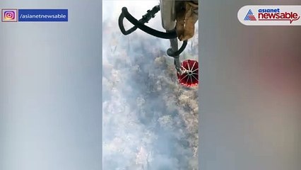 Massive fire in Sariska Tiger Reserve; IAF deploys 2 helicopters