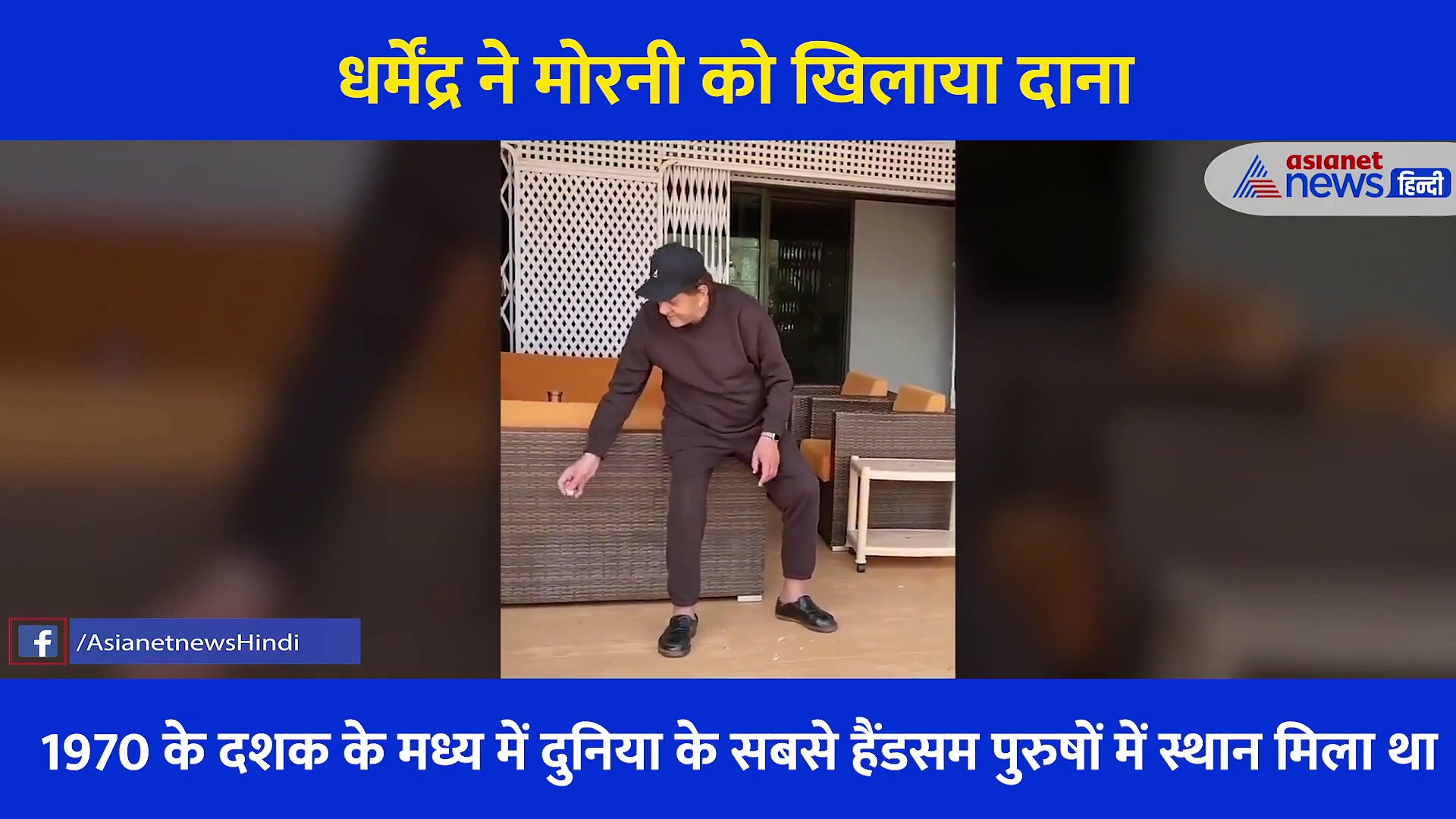 धर्मेंद्र ने मोरनी को दाना खिलाते हुए शेयर किया वीडियो,  हाथ से खिलाया चोगा