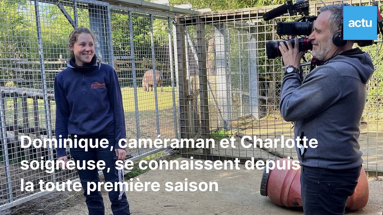 VIDEO. Zoo de La Flèche : Dans les pas de l'équ...