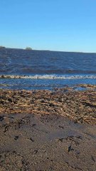 Flooding Turns West Fargo Farm into Lake