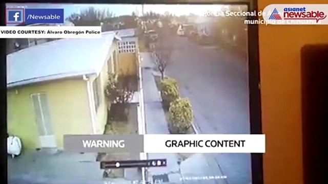 Watch: Flock of blackbirds suddenly drop from the sky in Mexico