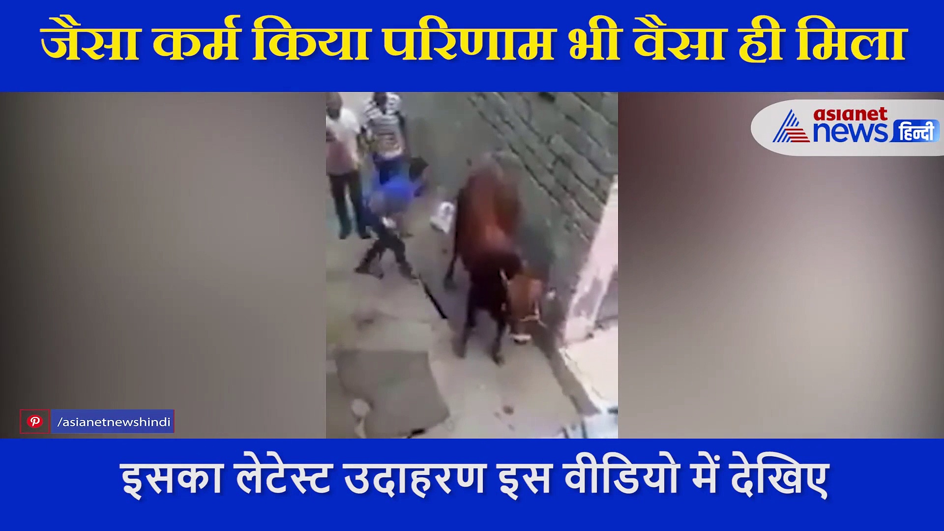 जैसे को तैसा, गाय को पीटने में लगा था शख्स फिर हुआ ऐसा हाल कि कभी नहीं भूल पाएगा