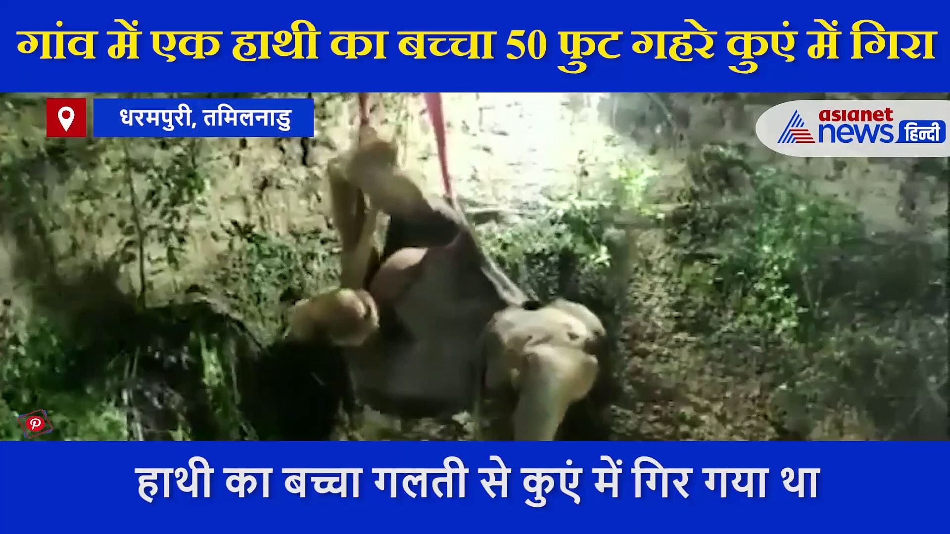 50 फुट गहरे कुएं में गिरा हाथी का बच्चा,  16 घंटे चला रेस्क्यू ऑपरेशन ऐसे निकाला बाहर VIDEO