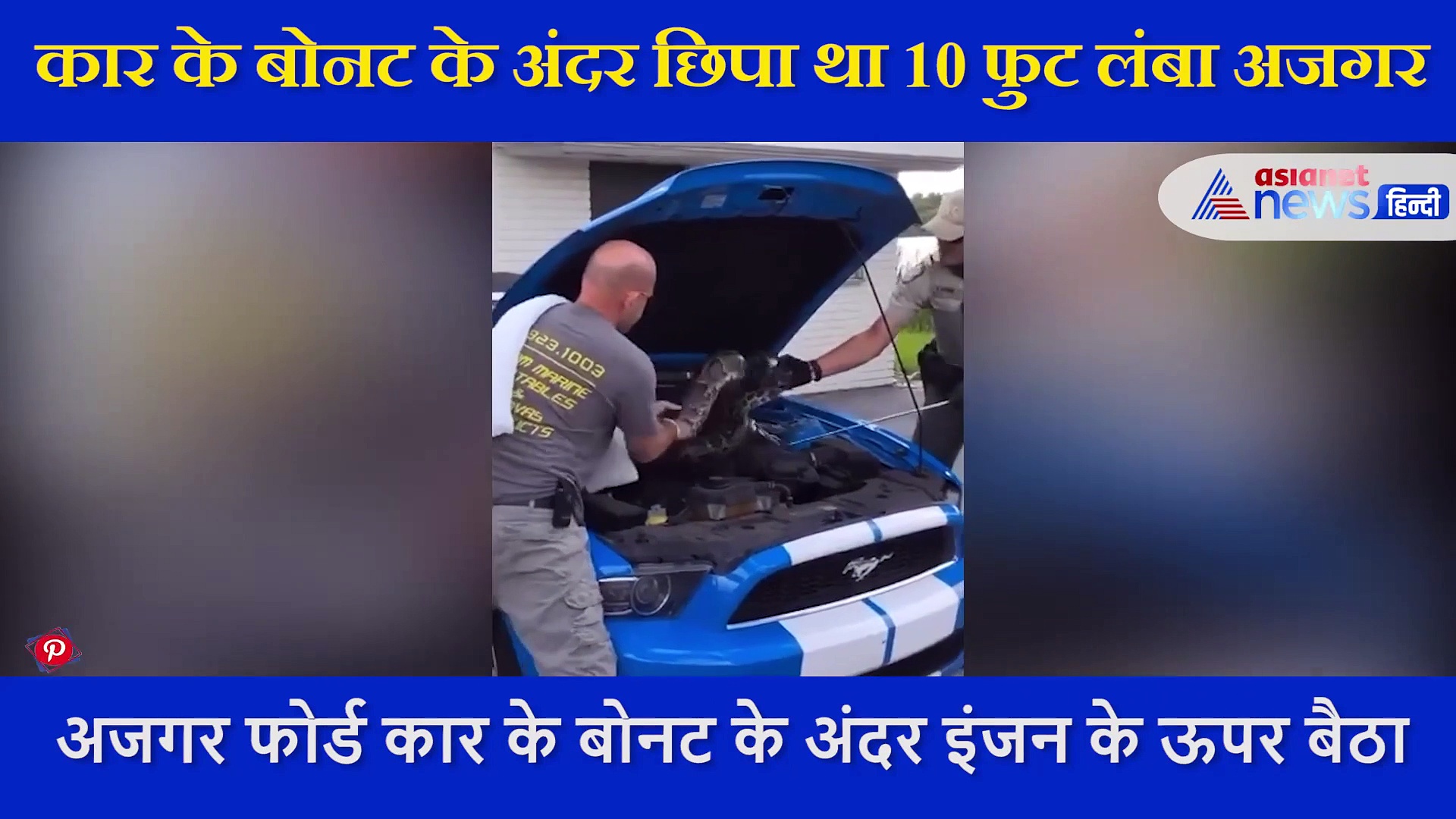 कार के बोनट के अंदर छिपा था 10 फुट लंबा ये जानवार, डरावना वीडियो आया सामने