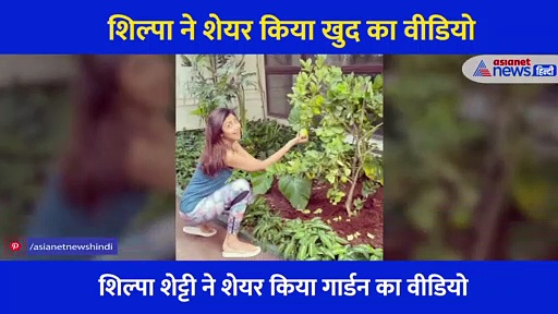 शिल्पा शेट्टी के गार्डन में लगे ढेर सारे नींबू, वीडियो शेयर कर बताया खट्टे नींबू को मीठा करने का उपाय