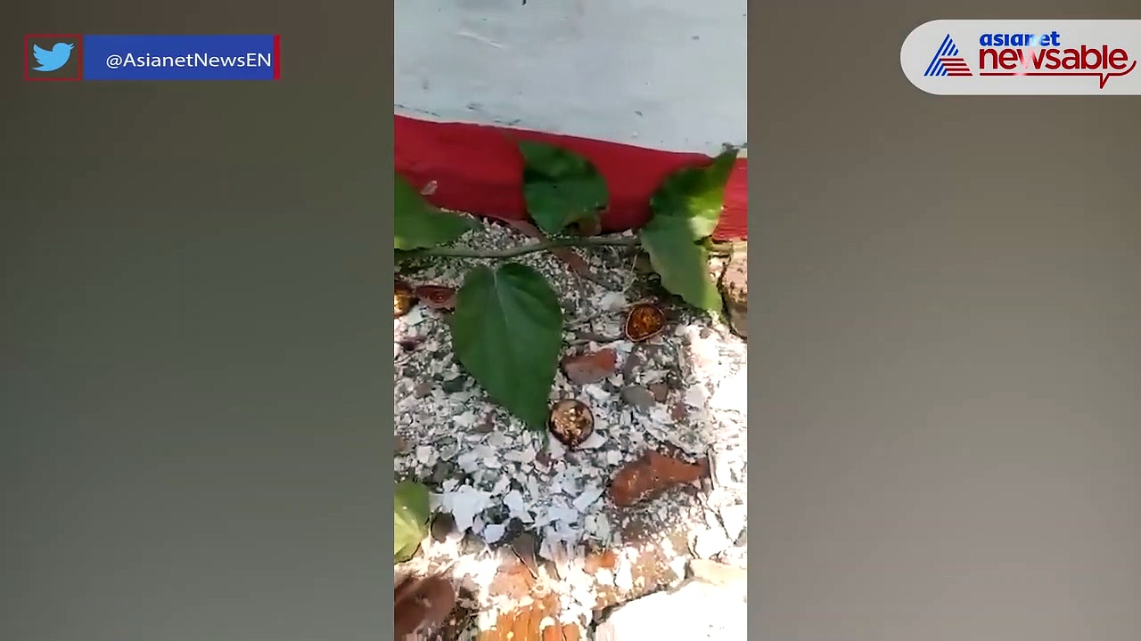 Fleeing thief gets stuck in hole he drilled to steal ornaments at Andhra Pradesh's Srikakulam