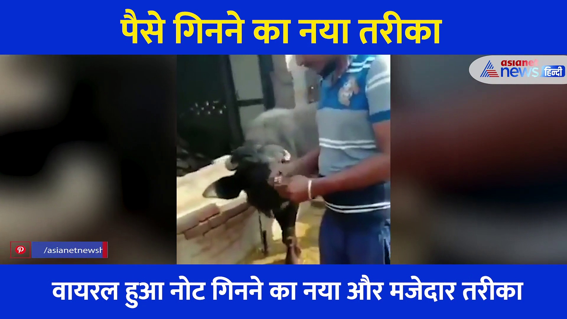 मार्केट में आया पैसा गिनने का नया और मजेदार तरीका, लोग बोले भाई तेरी भैंस की नौकरी पक्की, देखें Video