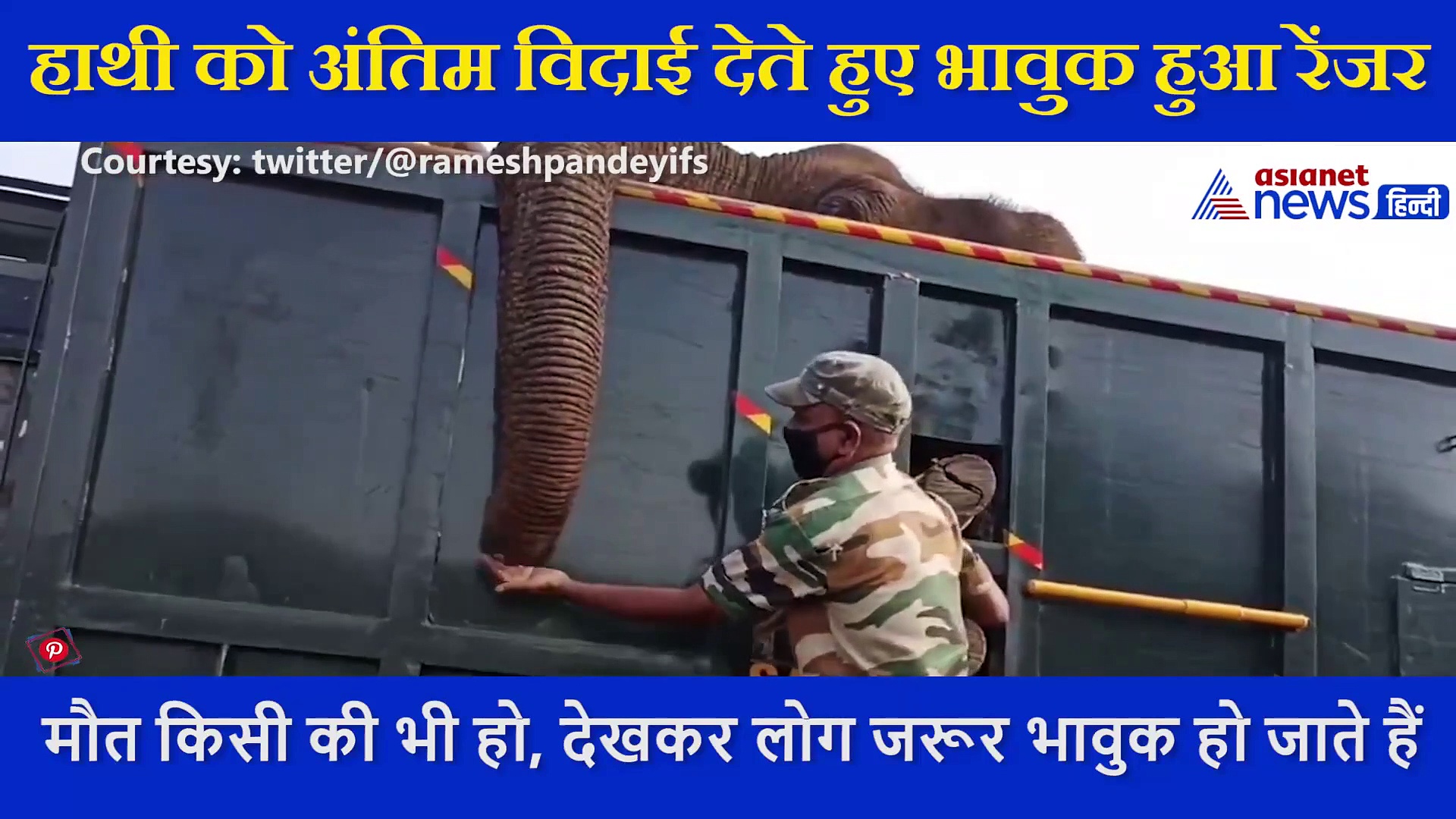 हाथी को अंतिम विदाई देते हुए फूट-फूट कर रोने लगा रेंजर, इसे देखने के बाद हर किसी की नम हो गई आंखें