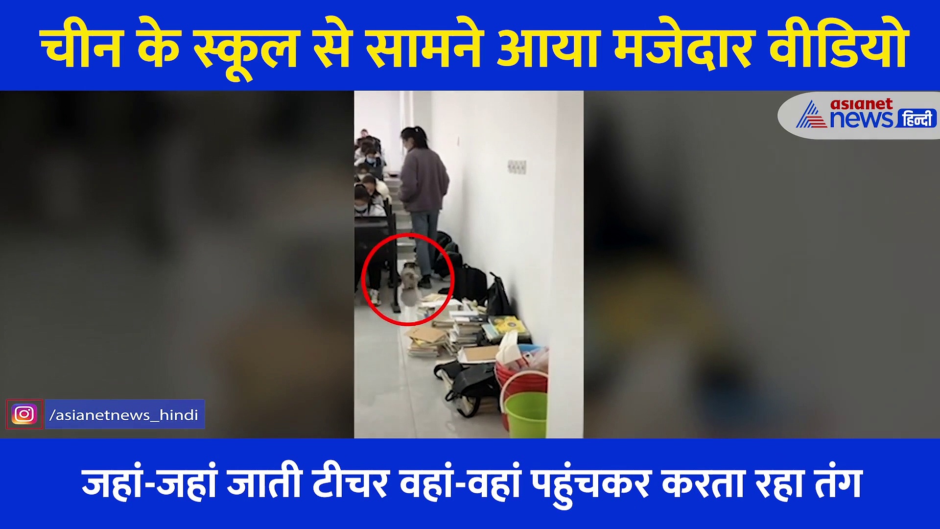 एग्जाम हॉल में घुस आया 'पढ़ाकू' कुत्ता, टीचर के पैरों से लिपट करता रहा तंग