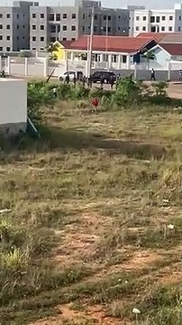 Haitianos enfrentan con palos, pedradas y botellazos agentes de Migración