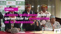 Líderes indígenas piden garantizar la protección de la Amazonía
