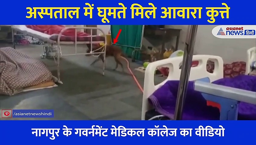 जहां मरीज वहीं घूमते रहे कुत्ते, विचलित कर देंगी अस्पताल की ये तस्वीरें