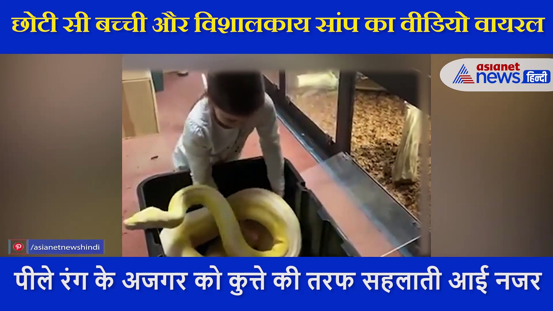 10 सेकंड में सांप का नाश्ता बन जाती बच्ची, प्लास्टिक के कंटेनर में इस तरह सहलाती रही अपनी मौत