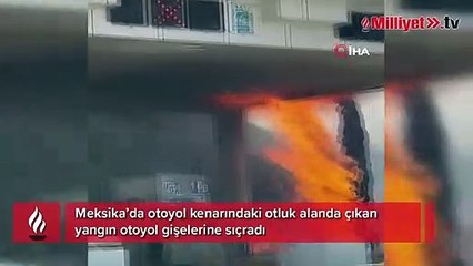 Meksika’da otoyolun kenarında çıkan yangın gişelere sıçradı