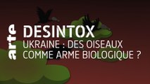 Ukraine : Des oiseaux comme arme biologique ? | Désintox | ARTE