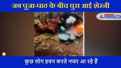 Shocking Video: हवन कर रहे थे लोग, बीच में घुस आई शेरनी, जान बचाने के लिए मचा हड़कंप