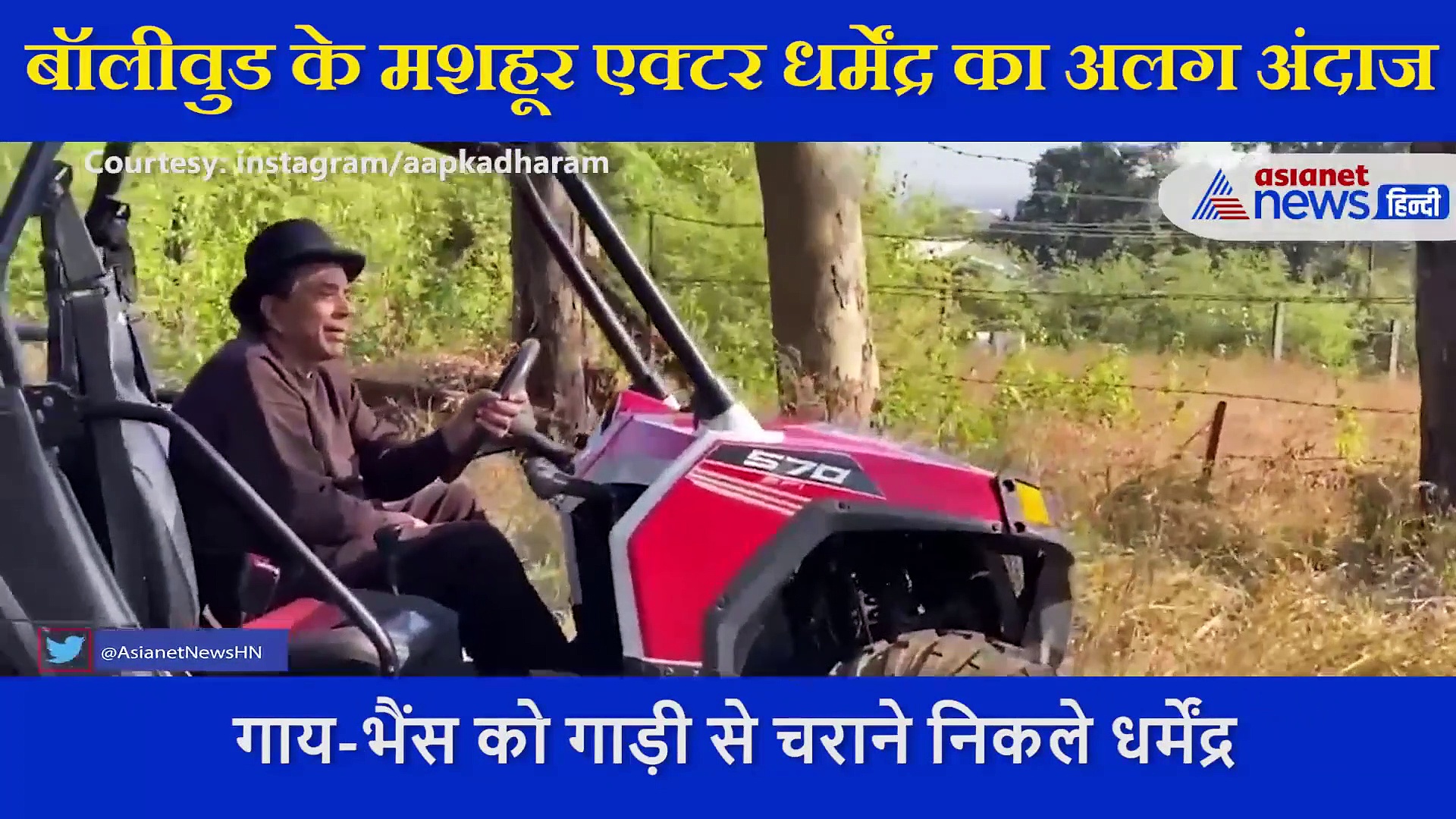 गाय-भैंस को गाड़ी से चराने निकले मशहूर एक्टर धर्मेंद्र, बोले इनसे प्यार ही प्यार मिलता है