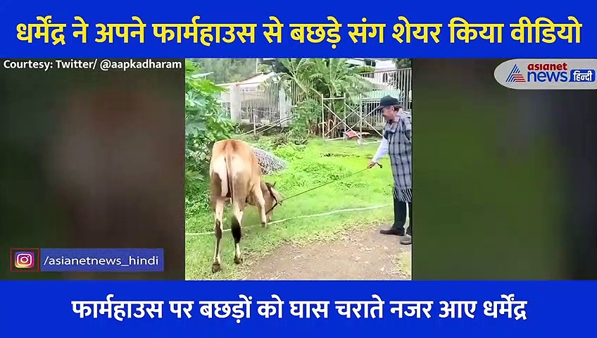 नथ डाल दिया है,अभी जोतूंगा इनको, धर्मेन्द्र ने शेयर किया शानदार Video, देखने लायक है फॉर्महाउस का नजारा