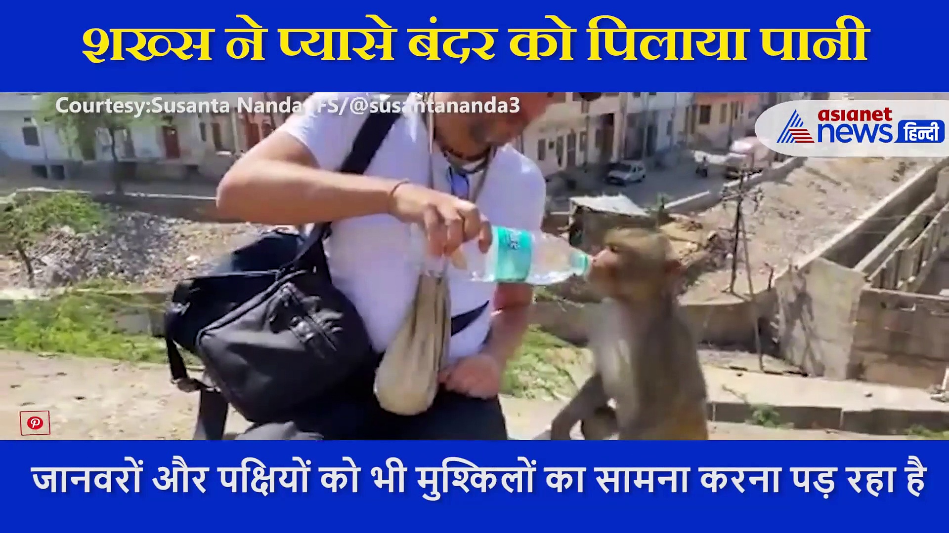 चिलचिलाती गर्मी  में  प्यासा था बेजुबान,  शख्स ने बंदर को  बोतल से पिलाया पानी