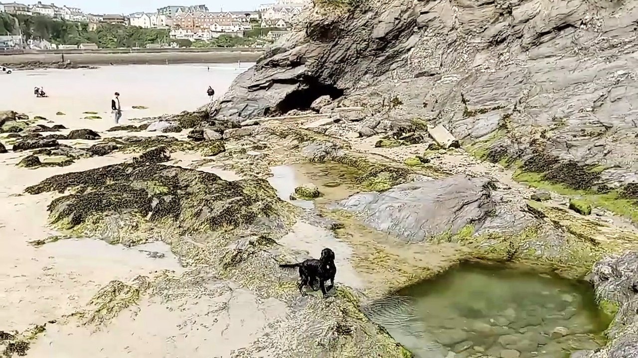Newquay Towan beach