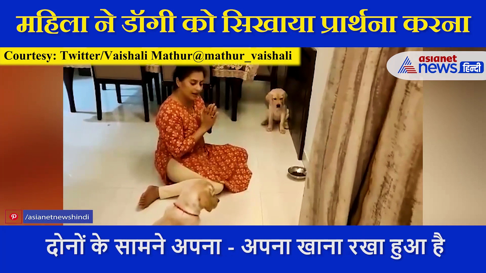 महिला ने खाना खाने से पहले डॉगी को सिखाया प्रार्थना करना, दिल को छू लेने वाला वीडियो वायरल