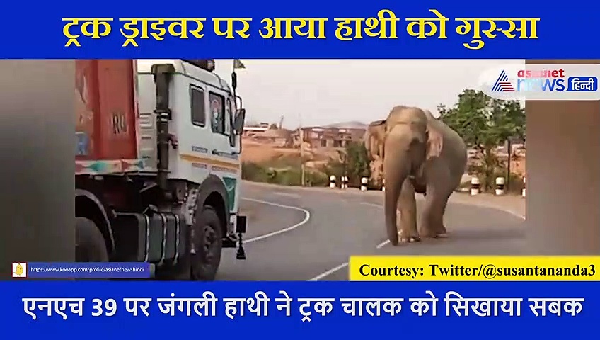 हाथी के सामने लगातार हॉर्न बजा रहा था ट्रक ड्राइवर, भयानक गुस्से में आकर किया अटैक