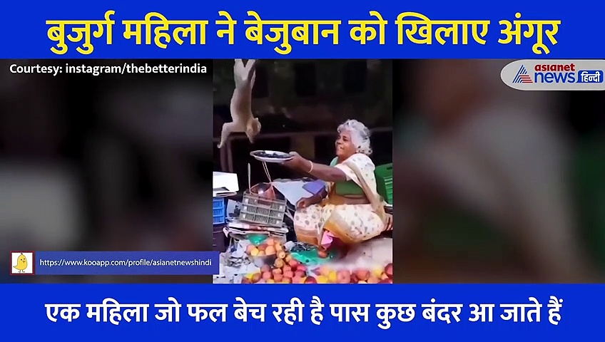 बुजुर्ग महिला ने बड़े प्यार से बेजुबान को खिलाए अंगूर,  वीडियो ने जीता लोगों का दिल