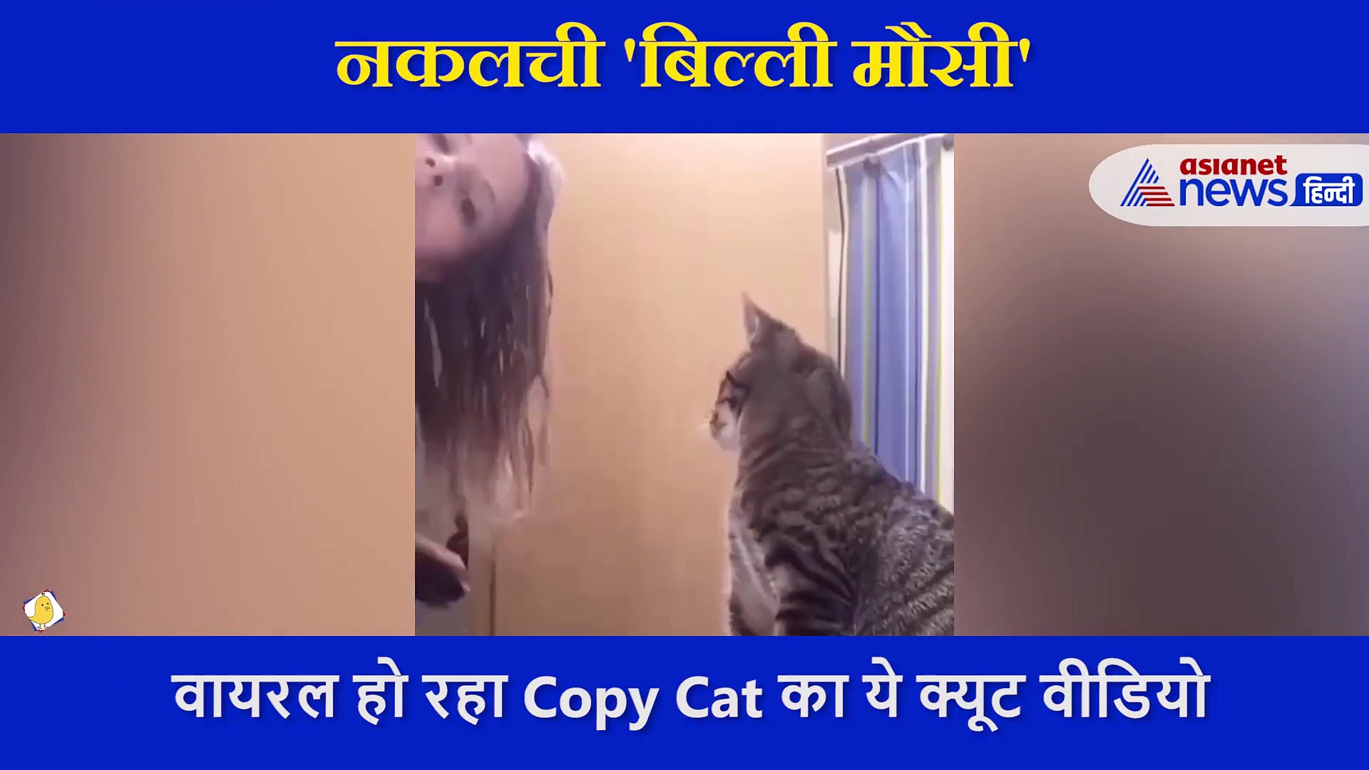 न कंघी - न ही बाल लेकिन फिर बालों को संवारती 'बिल्ली मौसी', लड़की को देखें ऐसे बनी Copy Cat