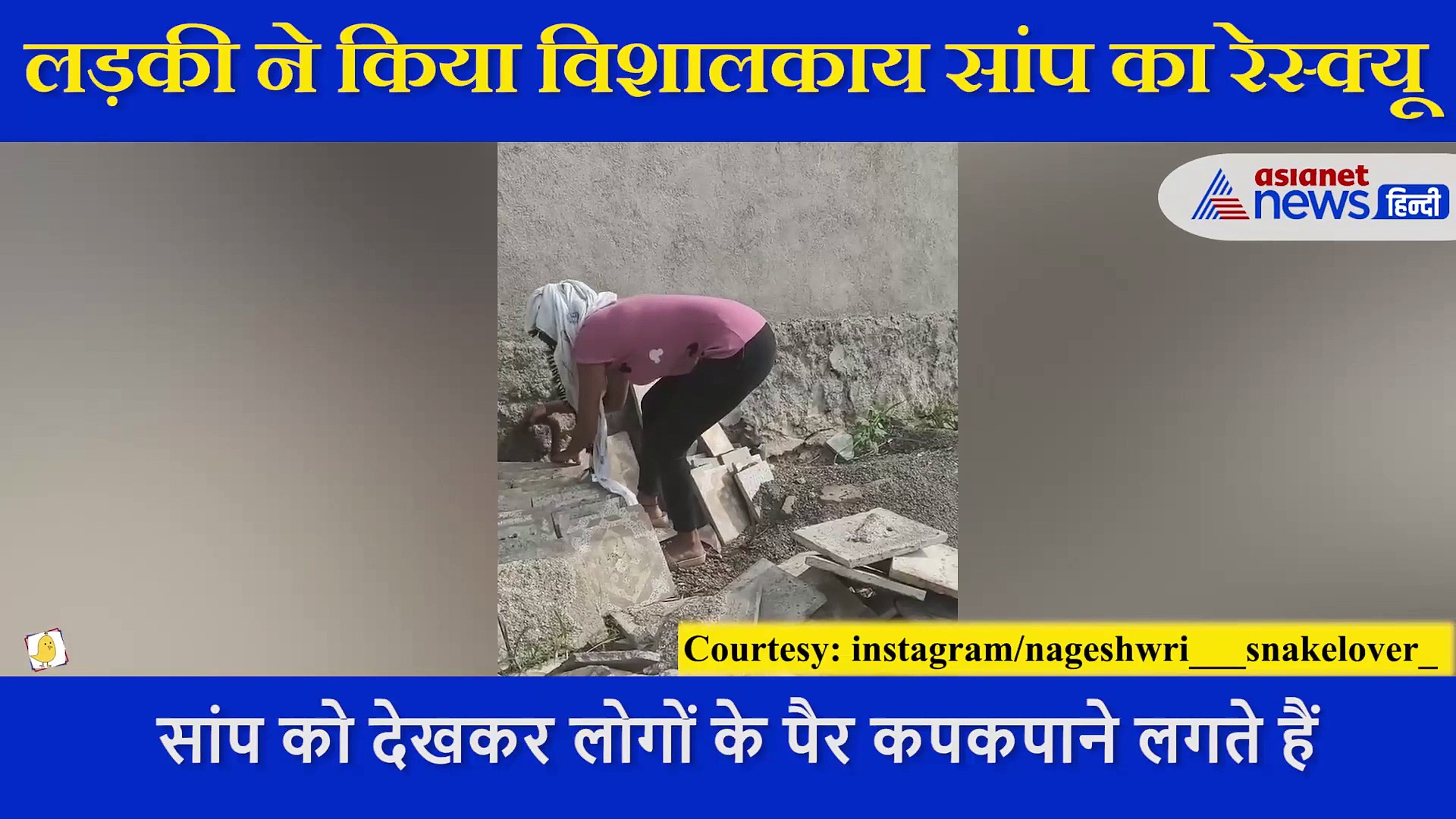 घर के पीछे छिपा था खतरनाक जानवर, लड़की ने पूंछ पकड़कर किया ऐसे रेस्क्यू