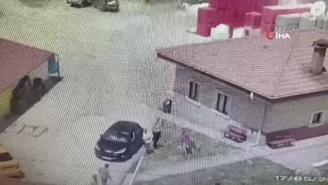 Sokak köpeğini besleyen kadını böyle darp ettiler