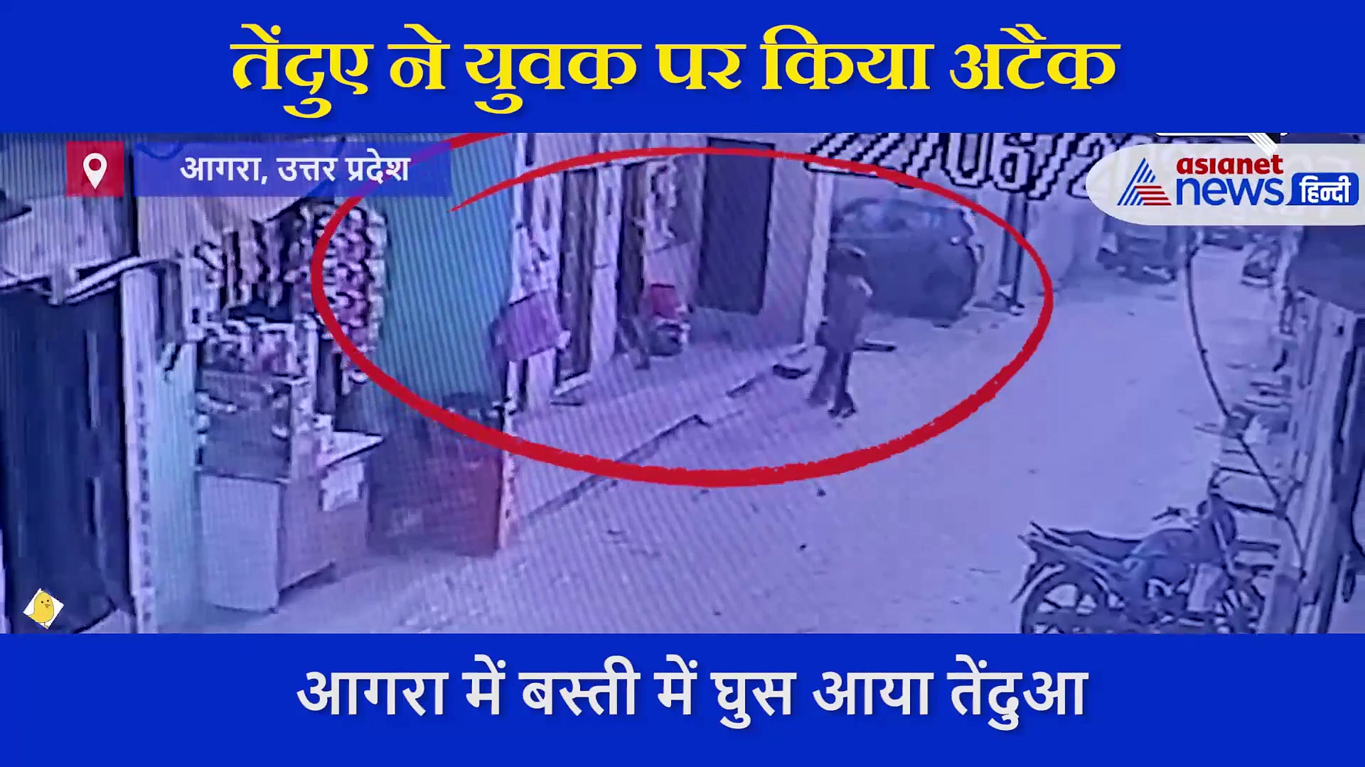 बस्ती में घुस आया ये खूंखार जानवर, घर की चौखट पर बैठे युवक पर कर दिया हमला