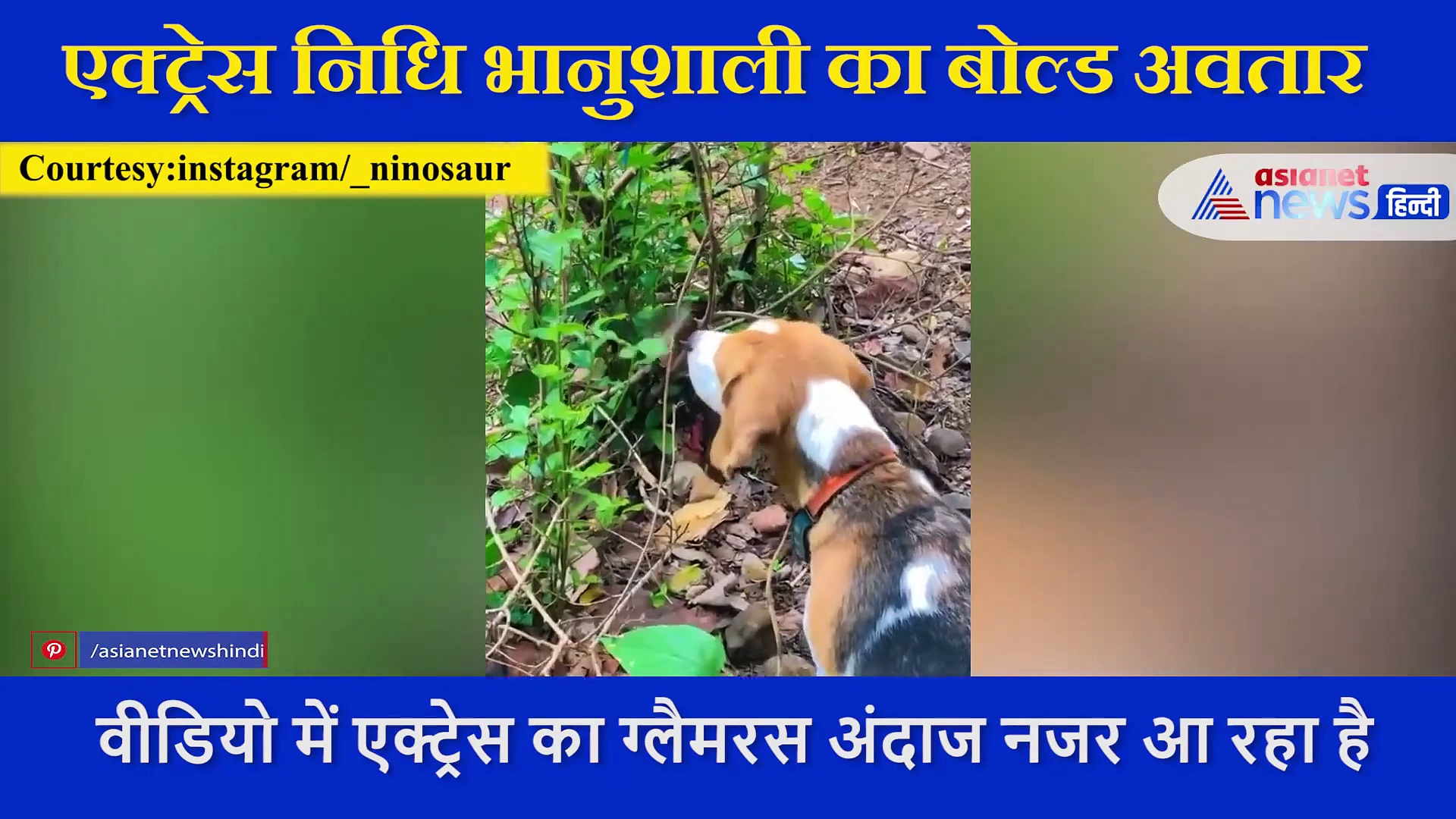 'तारक मेहता' की पुरानी सोनू ऊर्फ न‍िध‍ि भानुशाली का बोल्ड अवतार,  तालाब में लगाई डुबकी