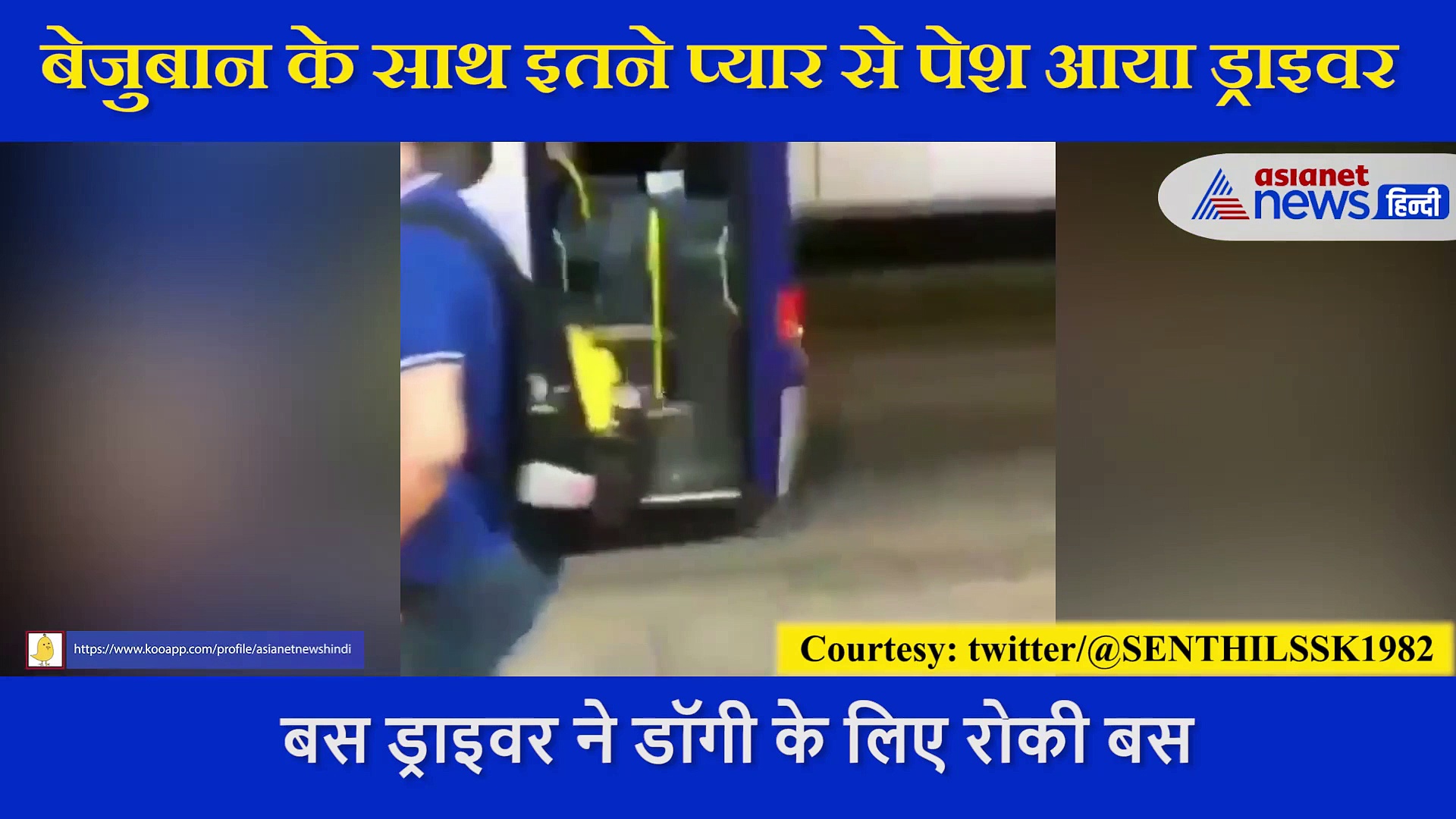 डॉगी के लिए बस ड्राइवर ने रोक दी बस, देखिए फिर क्या हुआ, दिल को छू लेने वाला वीडियो आया सामने