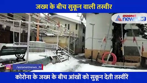 कोरोना के जख्म के बीच मरहम लगा रही हैं ये तस्वीरें... आपकी आंखों को भी मिलेगा सुकून