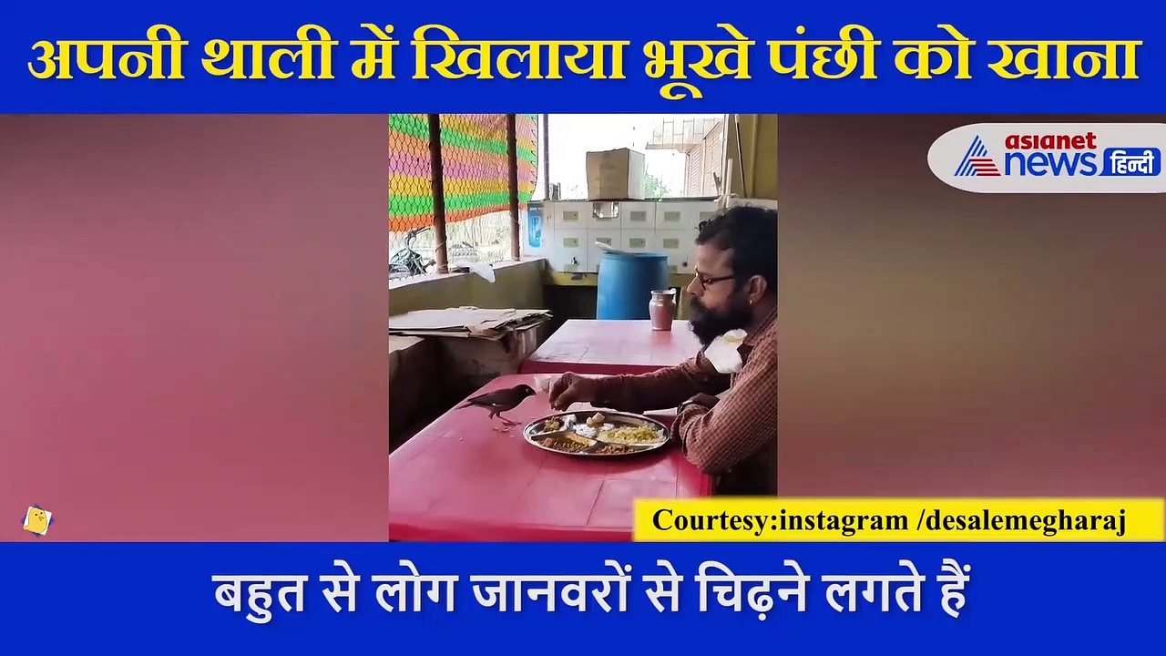 अपनी थाली से ही भूखे पंछी को शख्स ने खिलाया खाना, दिल छू लेने वाला वीडियो आया सामने