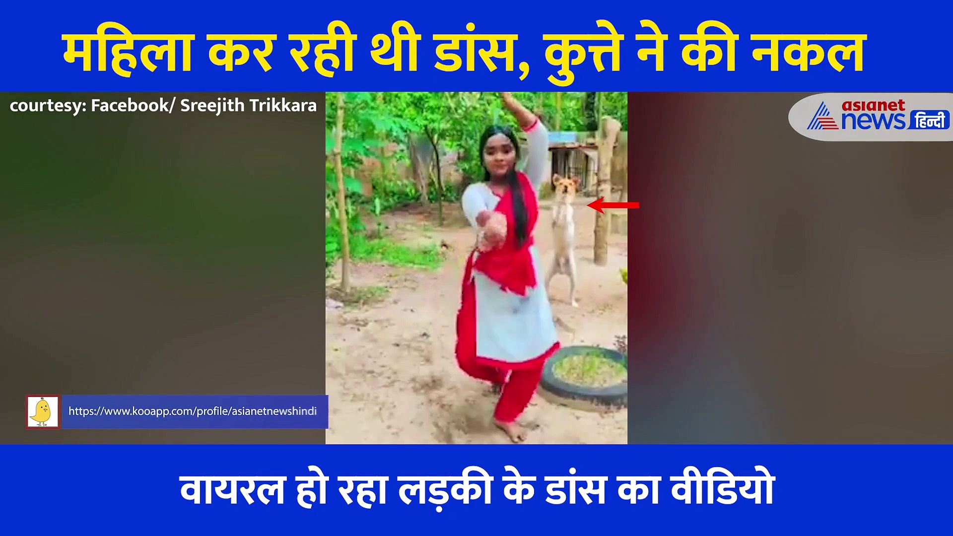 महिला कर रही थी डांस, तभी पास खड़ा कुत्ते ने कर दी ऐसी हरकत, देखें मजेदार Video