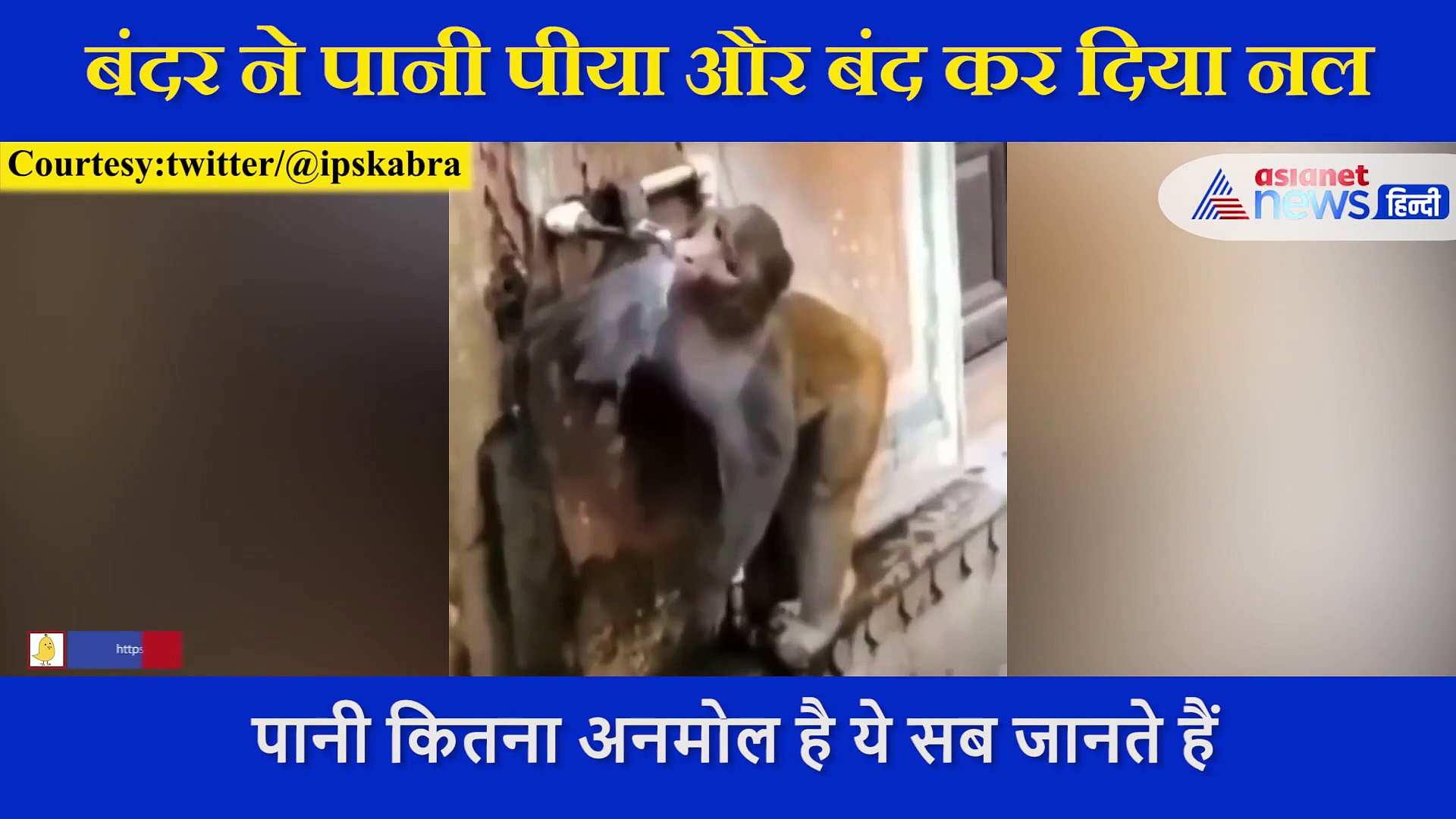 प्यासे बंदर ने नल खोलकर पिया पानी और फिर हम सबको दे गया एक सीख