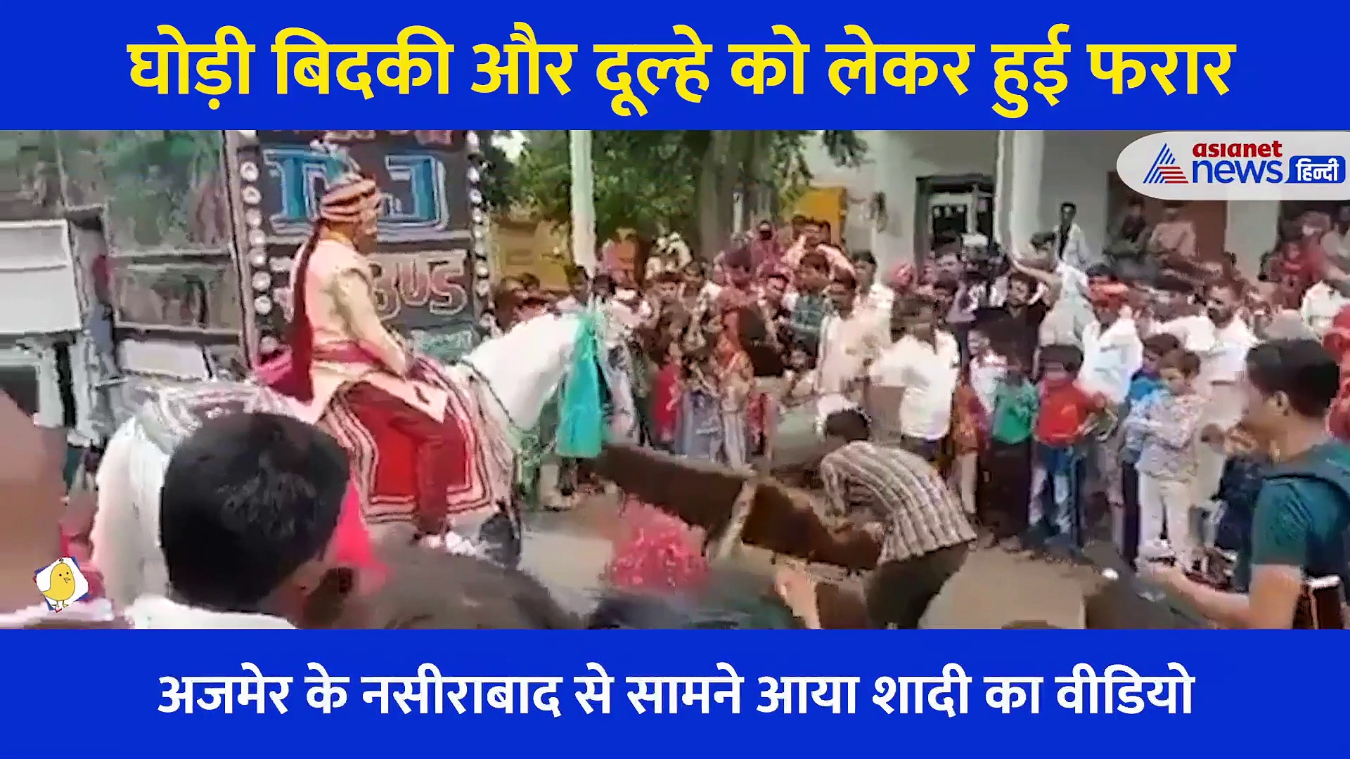 शादी के दौरान बिदकी घोड़ी और दूल्हे को लेकर हुई फरार, 4 किमी दूर इस हालत में मिला दूल्हा