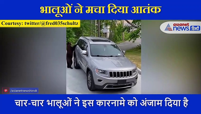4 भालूओं ने मिलकर  SUV को घेरा, सनरूफ से अंदर घुस ऐसे मचाया आतंक