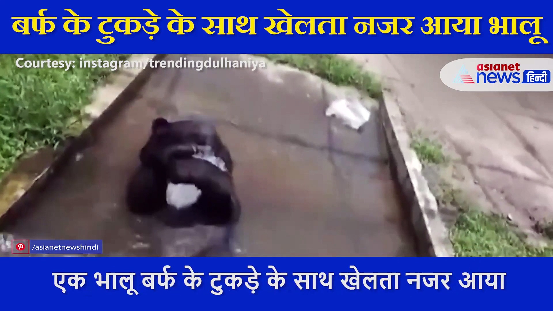 बर्फ के टुकड़े से लिपटकर खेलता नजर आया भालू, वीडियो में देखिए इसका मस्तीभरा अंदाज