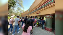 Viajan 20 familias de Vallarta a Guadalajara y Tonalá | CPS Noticias Puerto Vallarta