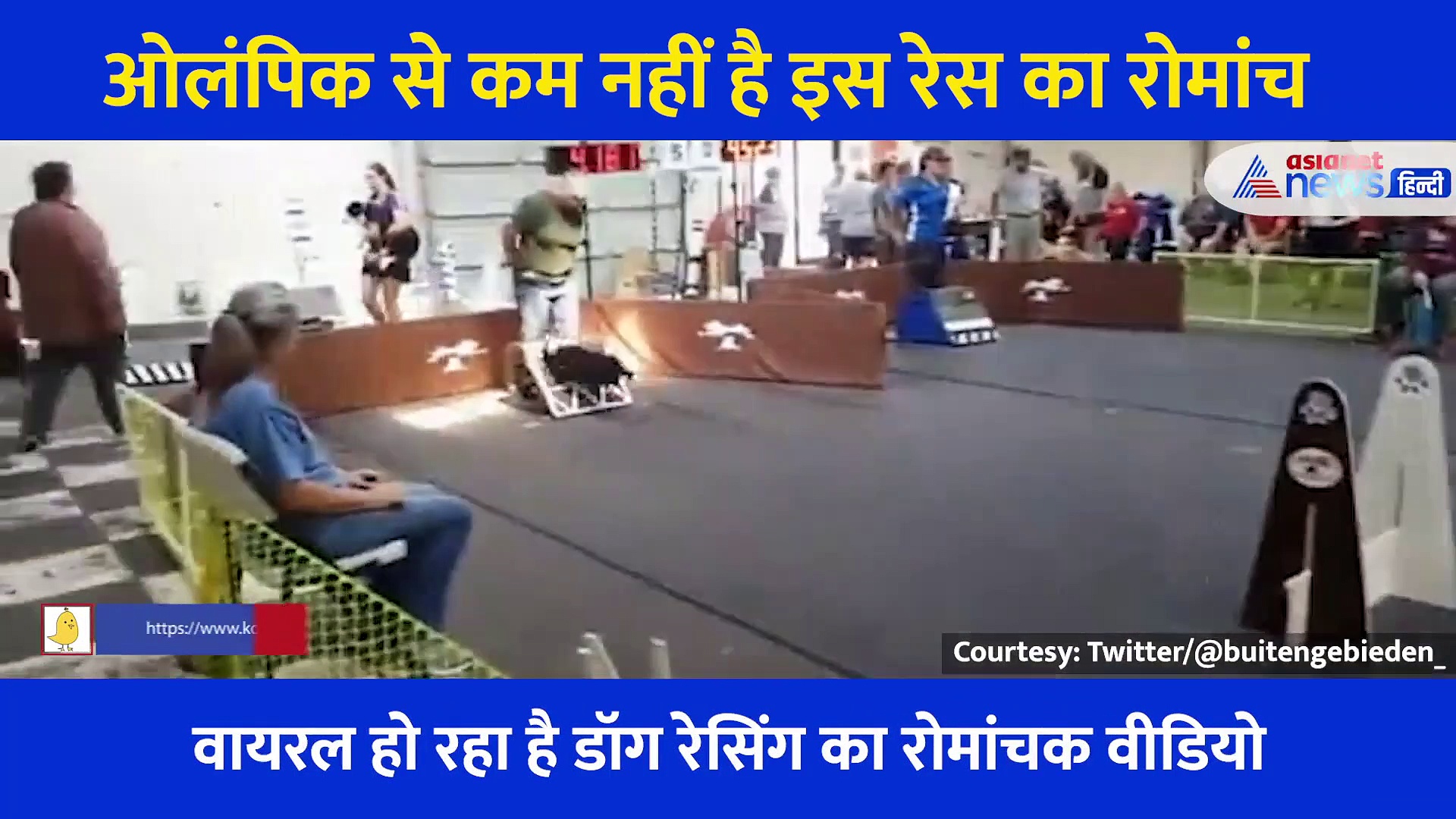 ओलंपिक से कम नहीं है इस रेस का रोमांच, वीडियो देख गदगद हो जाओगे आप