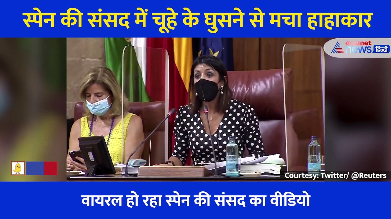 स्पेन की संसद में चूहे के घुसने से मचा हाहाकार.... कुर्सी छोड़ चीखते, भागते नजर आए सांसद, देखें Video