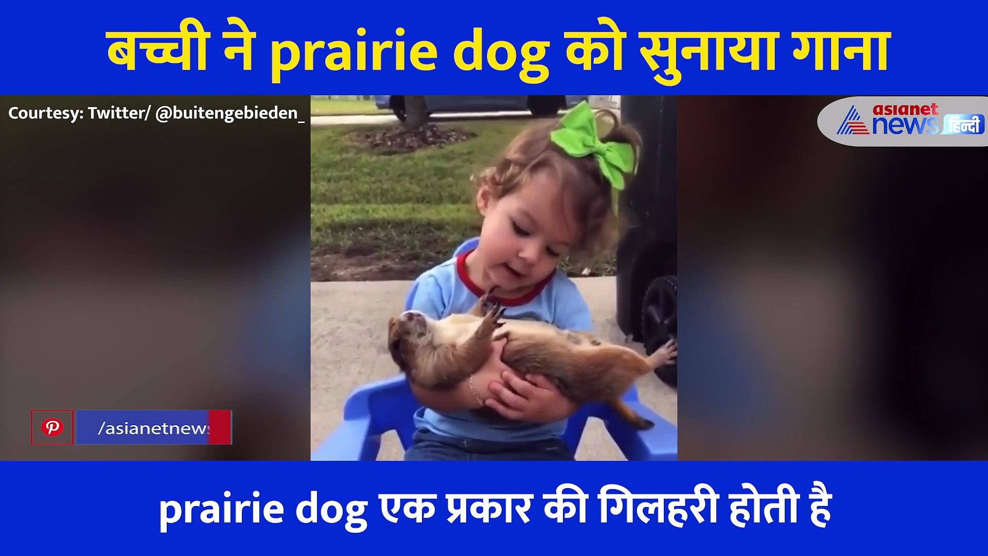 गोद में prairie dog को लेकर दुलारती रही बच्ची, आपको भी खुश कर देगा 18 सेकेंड का ये वीडियो