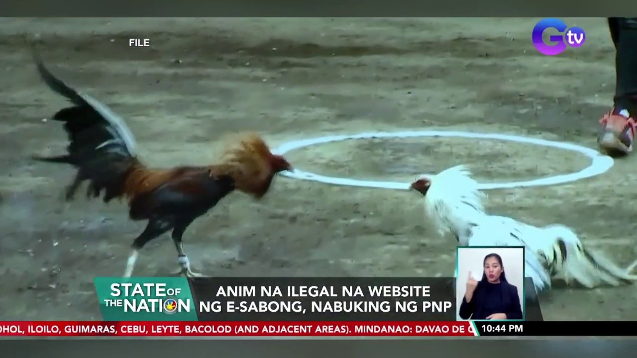 Anim na ilegal na website ng e-sabong, nabuking ng PNP | SONA