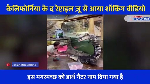 Shocking: खाना खिलाने गई महिला पर मगरमच्छों ने किया अटैक, वीडियो देख निकल जाएगी चीख