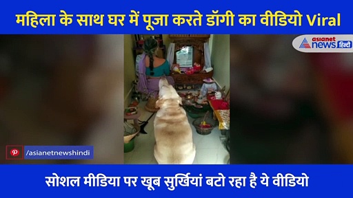 महिला के साथ घर में पूजा करते डॉगी का वीडियो Viral, सोशल मीडिया पर हो रही जमकर तारीफ