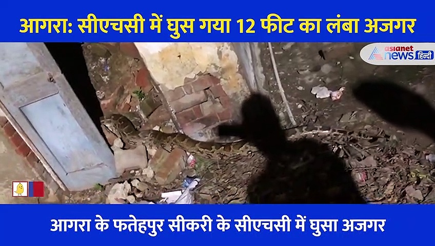 सीएचसी में घुसा 12 फीट का विशालकाय अजगर, दहशत में आए लोग... देखें रोंगटे खड़े करने वाला Video