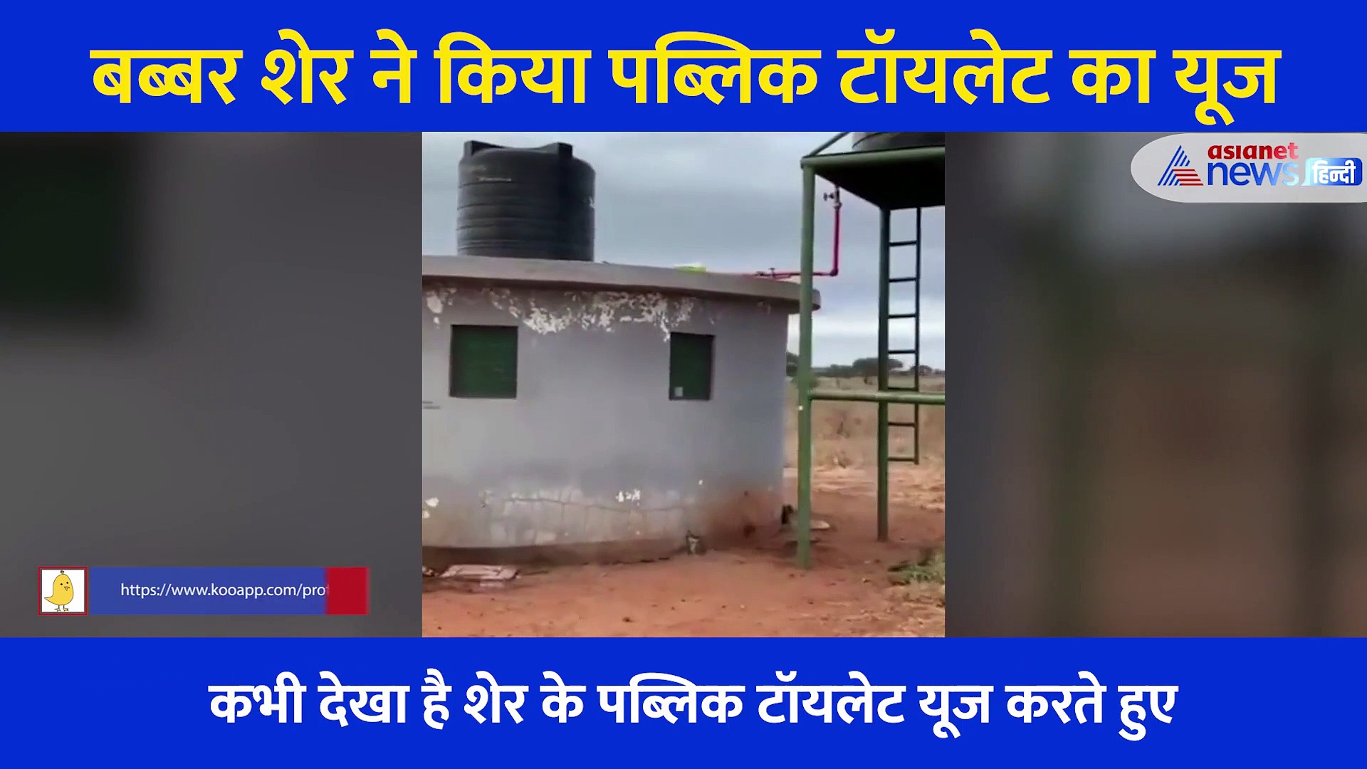 बब्बर शेर ने किया पब्लिक टॉयलेट का यूज... जिस पर लिखा था Gents, वीडियो देख नहीं रुकेगी हंसी